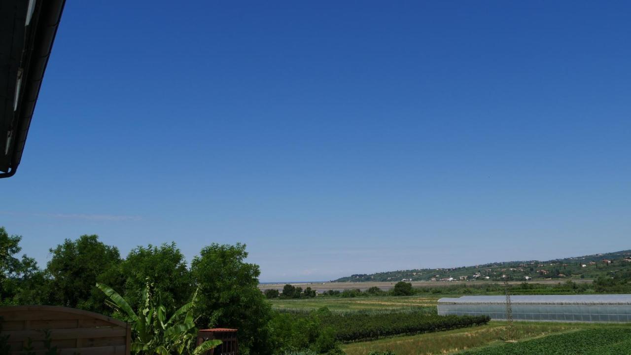 Appartamento Penzion Palma Sečovlje Esterno foto